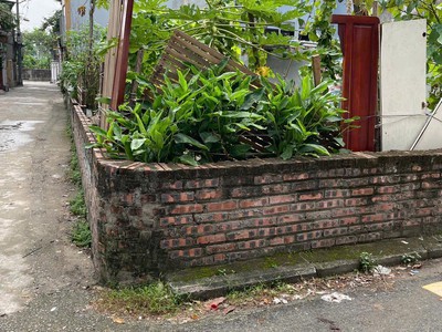 Hiếm, đất gần aeon mall, chợ thạch bàn, lô góc, ô tô, 50m mt4.5, hơn 5 tỷ 0