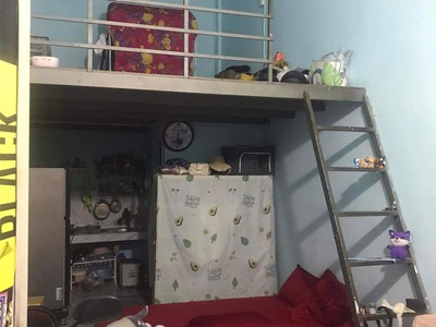 Chính chủ bán dãy nhà trọ 885m2  mặt tiền đường số 39, p bình trưng đông, quận 2  giá 119ty 4