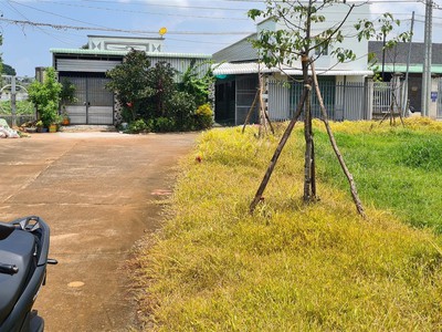 Bán 168m2 sổ hồng riêng ngay ql55   phạm hùng,khu phố phước sơn,tt đất đỏ,bà rịa vũng tàu 2