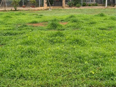 Chỉ 338 triều sở hữu 170m2 tại trung tâm tt đất đỏ bà rịa vt,sổ hồng,xẩy tự do 1