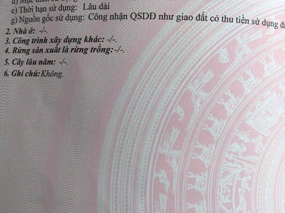 2k bán đất Hòa Châu, Hòa Vang ngang 6m đường ô tô hơn 1 tỷ gần ql1a và dt605 3