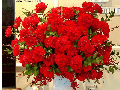 Gợi Ý Các Mẫu Hoa Chúc Mừng Tân Gia Đẹp và Ý Nghĩa 1