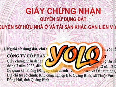 Nhượng dự án viên gỗ nén tại kcn đồng hới quảng bình 0