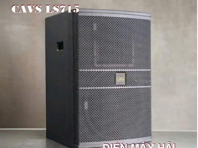 Loa Full 40 CAVS LS715 dành cho trường học, sân khấu, làm sự kiện 2
