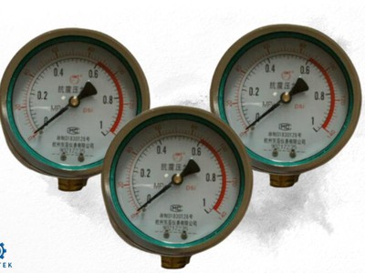 Dantek Phân Phối Đồng Hồ Áp Suất 0-1MPA Trung Quốc: Chất Lượng Đảm Bảo, Giá Cả Cạnh Tranh 0