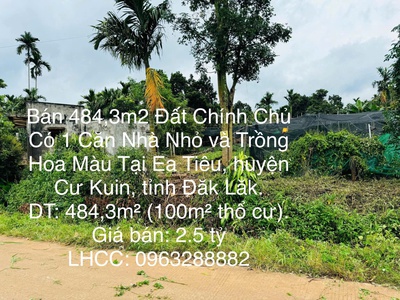 Bán 484,3m2 đất chính chủ có 1 căn nhà nhỏ và trồng hoa màu tại ea tiêu, huyện cư kuin, đăk lăk. 0