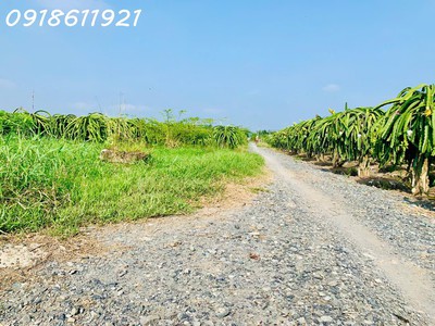 Ngộp 480tr chốt 340tr công chứng liền 150mv thổ cư tại Long An nhanh tay 2