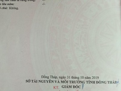 Bán nền kdc tân phú đông gần trường chuyên nguyễn đình chiều sa đéc đồng tháp 4