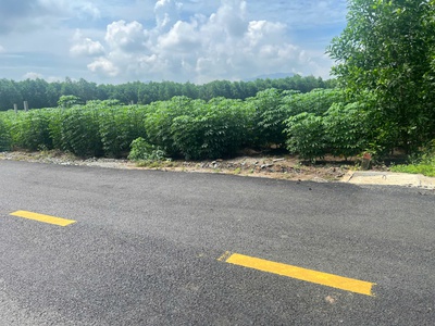 Bán 617m2 thổ cư ngay trung tâm châu pha, thị xã phú mỹ . 3