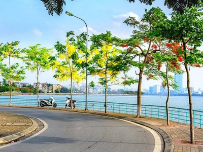 Bán Nhà Xuân Diệu Gần Hồ Dt:50m2, Mt:4,5m Giá:12,5 Tỷ Xây Căn Hộ Dòng Tiền ÔTô Đỗ 10m GT Thuận Tiện 7