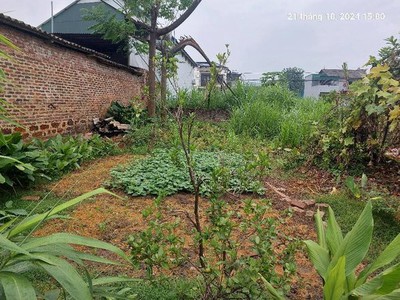 Thửa đất ko tỳ vết, 152m2, mt10m, ô tô thông, 2.5 tỷ, thanh trí, sóc sơn . 0