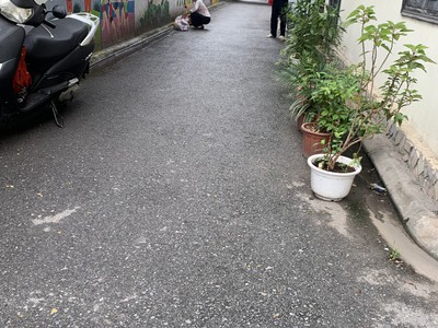 Bán gấp giá rẻ nhà nguyễn văn cừ 43m2 4t - ngõ ô tô - kinh doanh nhỏ - 10 phút đi hồ gươm 4