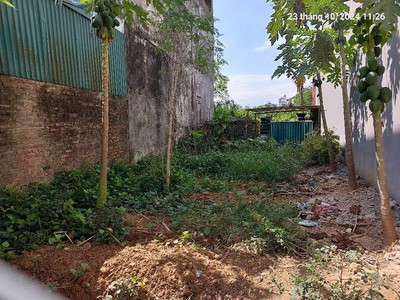 Chủ cần bán gấp 115m2, mt6.3m, 4.5 tỷ, cổ loa, đông anh, 2 mặt ngõ, ô tô tải. 1