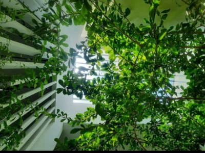 Bán nhà 3 tầng Nguyễn Chí Diễu, Sơn Trà, ĐN có căn hộ cho thuê, khu vực sầm uất. 1