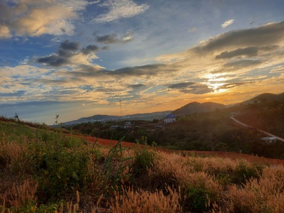 Đất ven Đà Lạt View đồi thông, View thị trấn 0