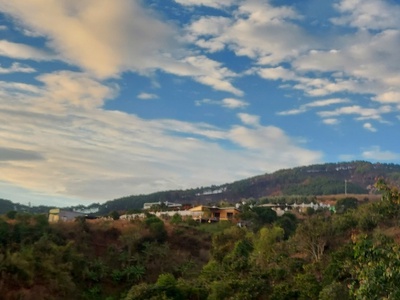 Đất ven Đà Lạt View đồi thông, View thị trấn 1