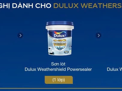 Chỉ Sơn Phủ Có Đủ Chống Rạn Nứt   Chống Thấm 1