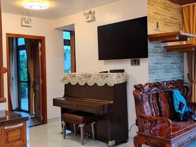 Biệt thự lô góc  - kết cấu 4 tầng - khu phân lô, nội thất xịn xò - đào sự tích - phước kiểng 2