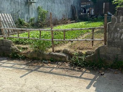 Thửa đất ô tô thông, 80m2. full thổ, mt5m, ninh môn, sóc sơn. 2.080 tỷ. 0