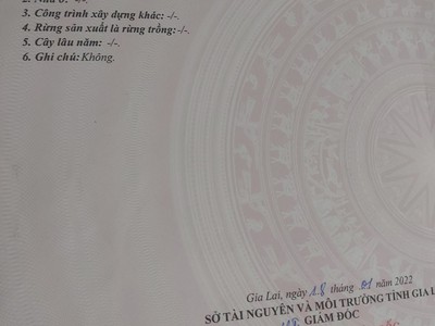 Chính chủ cần bán lô đất hẽm 46 nguyễn kiệm-phường yên thế-tp pleiku-gia lai 1