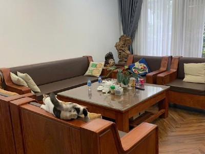 Tân mai bán nhà biệt thự louis 5 tầng thang máy long lanh hoàng mai 3