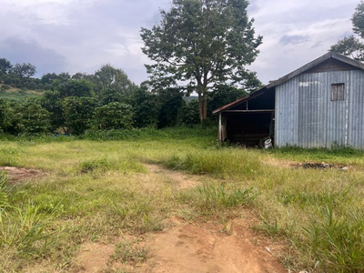 Bán đất đẹp - giá tốt - vị trí đắc địa tại xã đinh trang thượng, huyện di linh, lâm đồng 0
