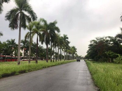 Bán đất biệt thự mặt đường Nguyễn Đình Bể, ph Tân Bình, TP HD, 250m2, mt 10m, giá cực rẻ 1