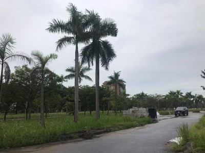 Bán đất biệt thự mặt đường Nguyễn Đình Bể, ph Tân Bình, TP HD, 250m2, mt 10m, giá cực rẻ 2