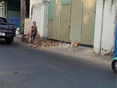 Hot hot   bán gấp lô đất kp đông thành, p. tân đông hiệp, dĩ an, bình dương. 1