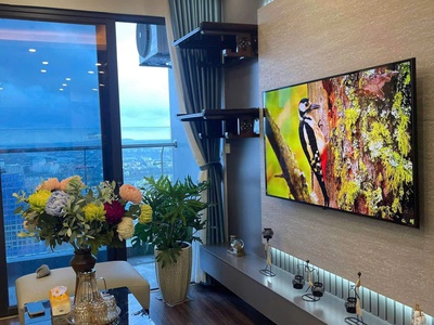 Cho thuê căn hộ tầng cao, view thành phố cực đẹp tại Tòa Tuylip - Hoàng Huy Commerce, Võ Nguyên Giáp 0