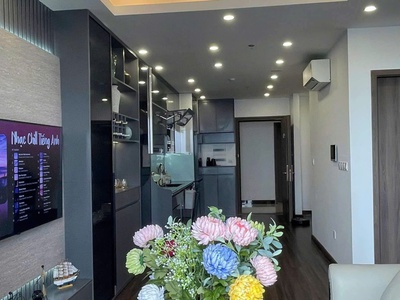 Cho thuê căn hộ tầng cao, view thành phố cực đẹp tại Tòa Tuylip - Hoàng Huy Commerce, Võ Nguyên Giáp 9