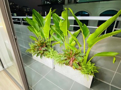 Chung cư VIP 3PN, 2VS Mỹ Đình - Hàng xóm VIN GARDENIA - Lô góc 2 thoáng  - MẶT PHỐ HÀM NGHI 8