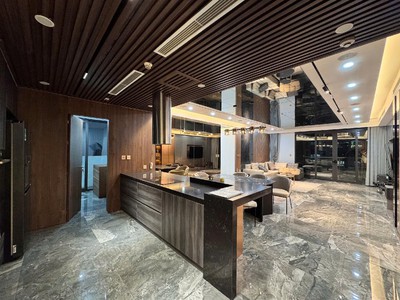 Chung cư cao cấp DOLPHIN PLAZA, Lô góc 186m2, 4PN, 3VS Trần Bình Nam Từ Liêm 2