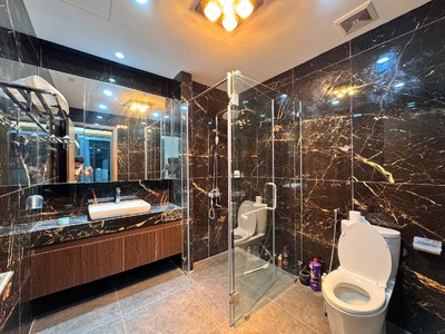 Chung cư cao cấp DOLPHIN PLAZA, Lô góc 186m2, 4PN, 3VS Trần Bình Nam Từ Liêm 6
