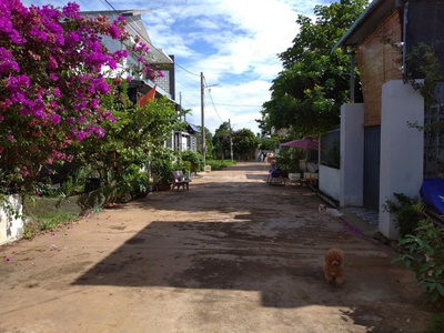 Hot hot đây ạ chủ cần bán căn nhà đẹp tọa lạc tại xã hòa long thành phố bà rịa 3