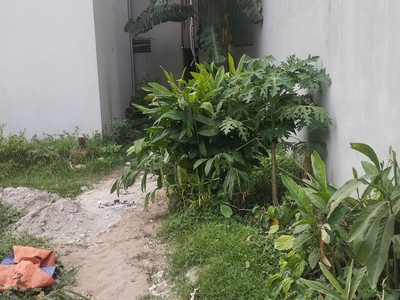 Gia đình cần bán mảnh đất tổ 15 yên nghĩa 45m2 cách 1 nhà ô tô đỗ cửa giá 2,55 tỷ 1