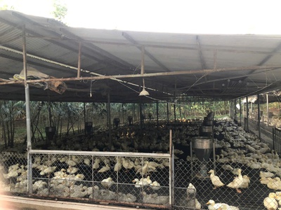 Chính chủ cần bán đất đường khu công nghệ cao, xã xuân đường, huyện cẩm mỹ, đồng nai. 0