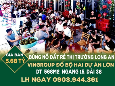 Bùng nổ đất rẻ thị trường long an, vingroup đổ bộ hai dự án lớn 0