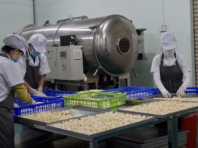 Công nghệ sấy khô sầu riêng đạt chất lượng cao bằng phương pháp sấy thăng hoa 0