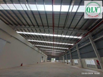 Cho thuê nhà xưởng 4.680m2 mới xây dựng  tại KCN Hòa Bình, Long An 1