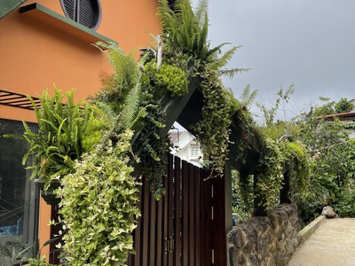 Bán biệt thự trung tâm Đà Lạt,  thiết kế đẹp long lanh vào vận  hành kinh doanh luôn 0