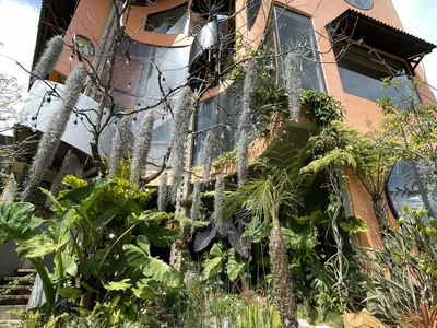 Bán biệt thự trung tâm Đà Lạt,  thiết kế đẹp long lanh vào vận  hành kinh doanh luôn 1