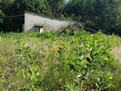 Bán đất hơn 2010m2 sẵn 400m2 thổ cư thực tế 1 ha đất view hồ mát mẻ 65m mặt tiền bê tông kdc sẵn 2