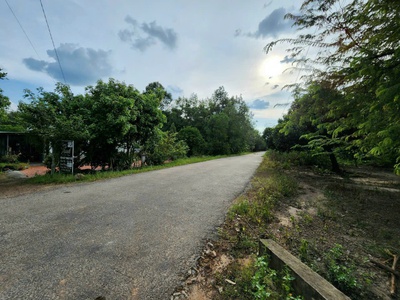 HÀNG HIẾM Tại Đường Bàu Sen, Dầu Tiếng, nhỉnh 1 TRIỆU/M , 565M  ĐẤT 0