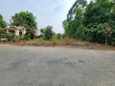 HÀNG HIẾM Tại Đường Bàu Sen, Dầu Tiếng, nhỉnh 1 TRIỆU/M , 565M  ĐẤT 1