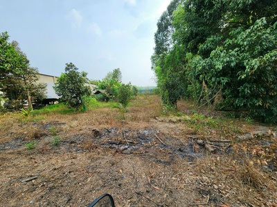 HÀNG HIẾM Tại Đường Bàu Sen, Dầu Tiếng, nhỉnh 1 TRIỆU/M , 565M  ĐẤT 3