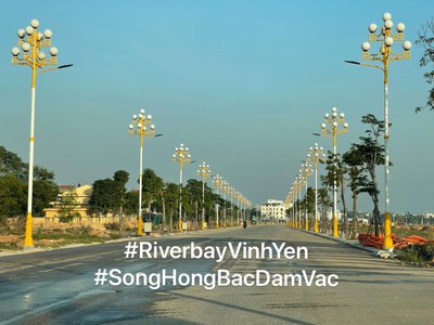 Bán đất biệt thự song lập tại dự án Bắc Đầm Vạc, Vĩnh Yên, Vĩnh Phúc 0