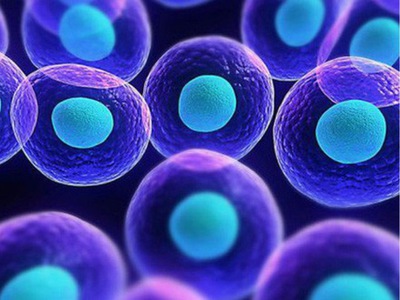 Khám phá Tế bào gốc vạn năng và Ứng dụng trong Y học 0