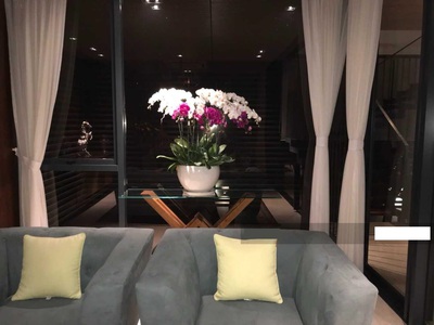 Bán MT giá hẻm đường Nguyễn Tri Phương, Q10. rộng 200m2. 6 tầng. Giá chỉ 275tr/m2   55 tỷ. 0