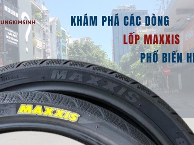 Khám phá các dòng lốp maxxis phổ biến hiện nay 0